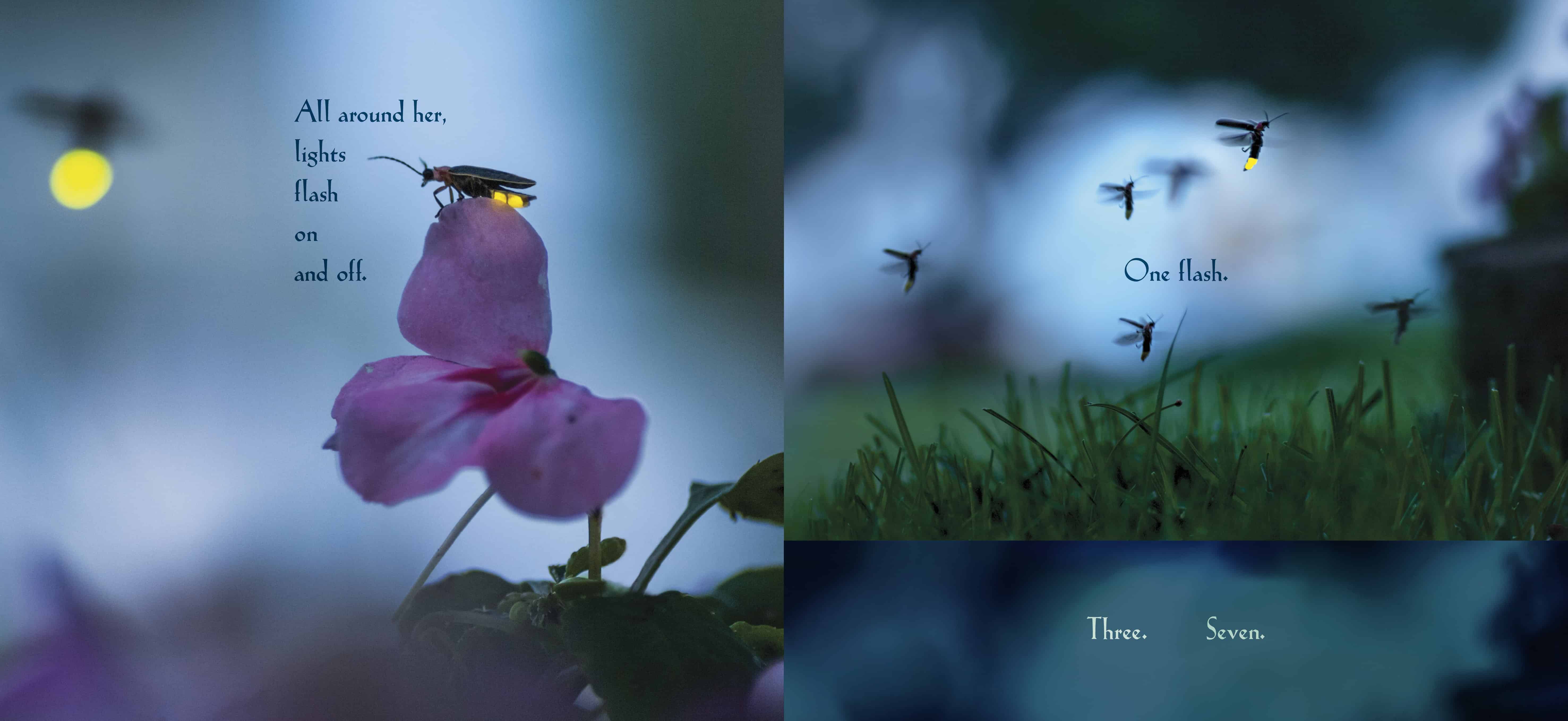 Interior spread for AMONG A THOUSAND FIREFLIES