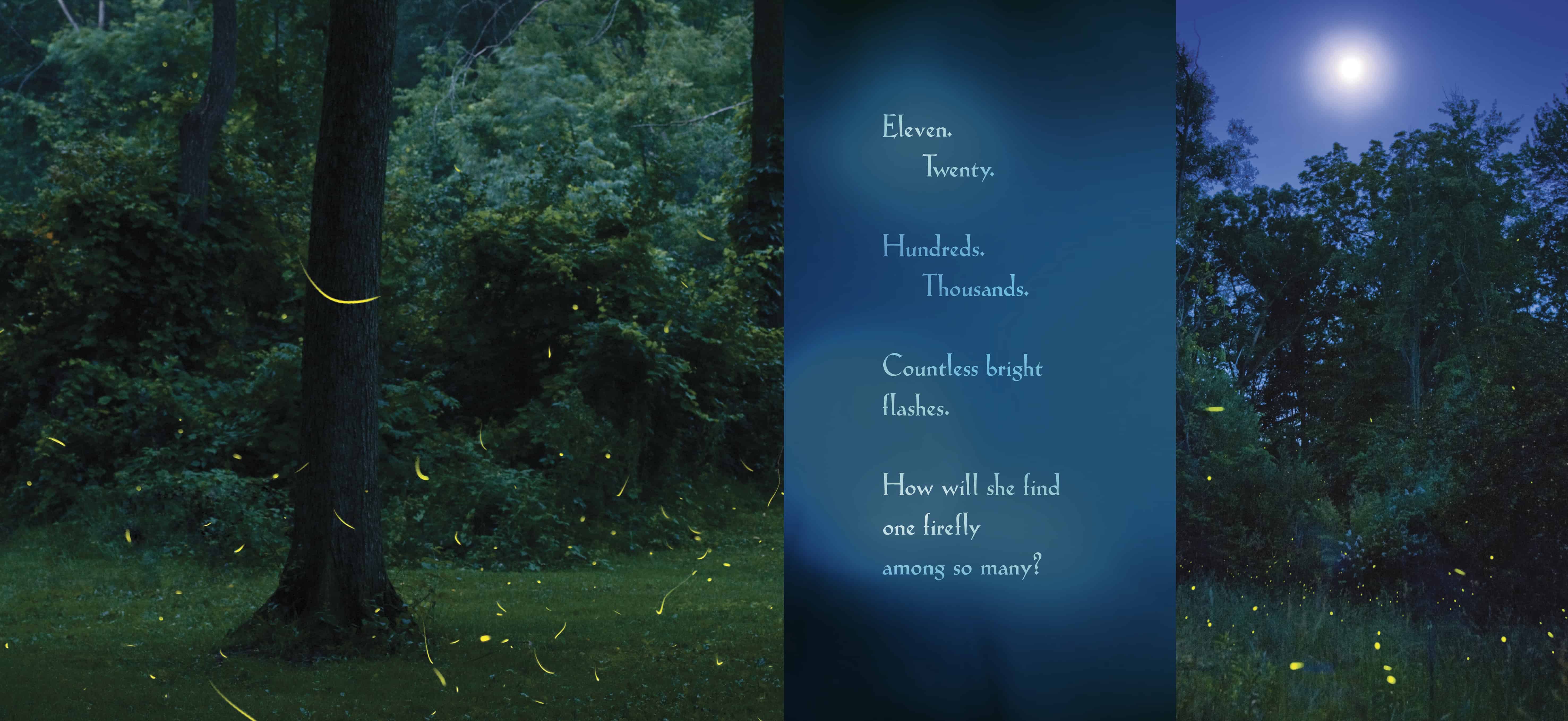 Interior spread for AMONG A THOUSAND FIREFLIES