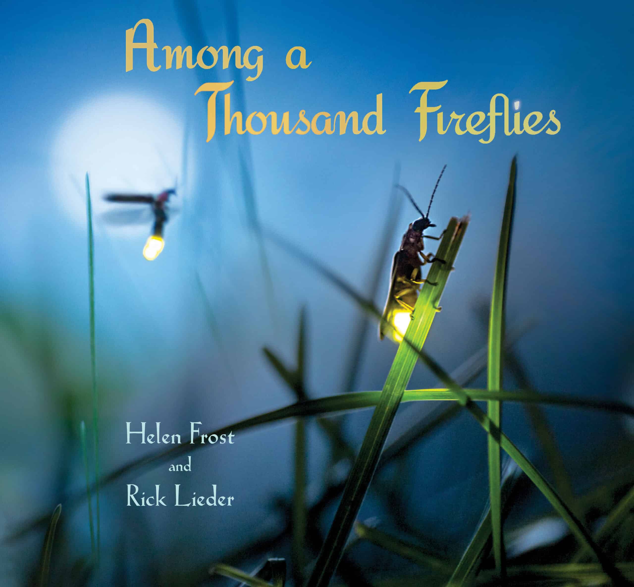 Jacket for AMONG A THOUSAND FIREFLIES