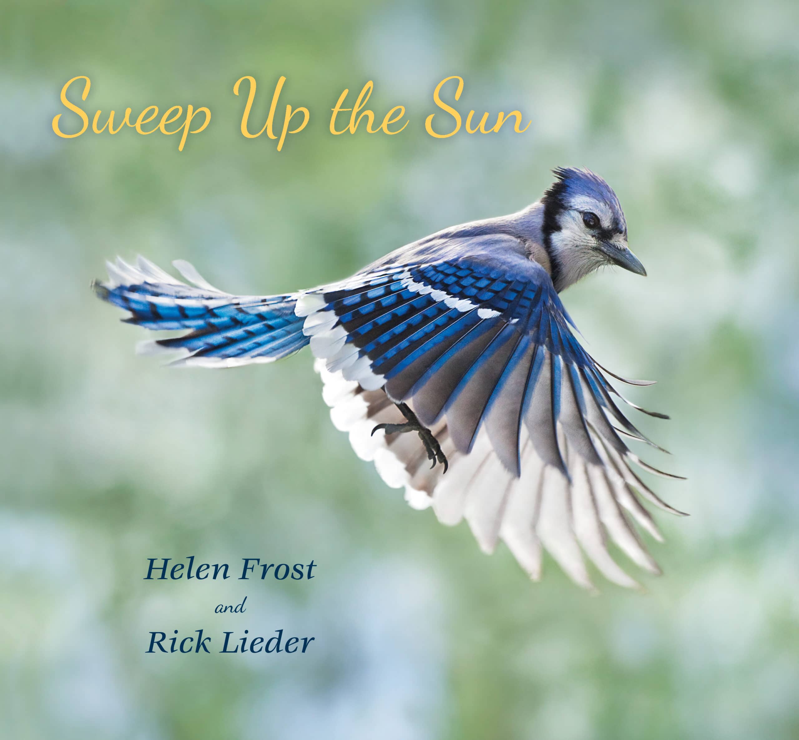 Jacket for SWEEP UP THE SUN