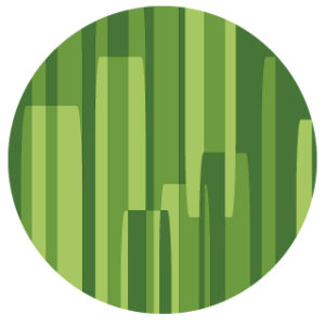 Cascade Counseling & Wellness Mark