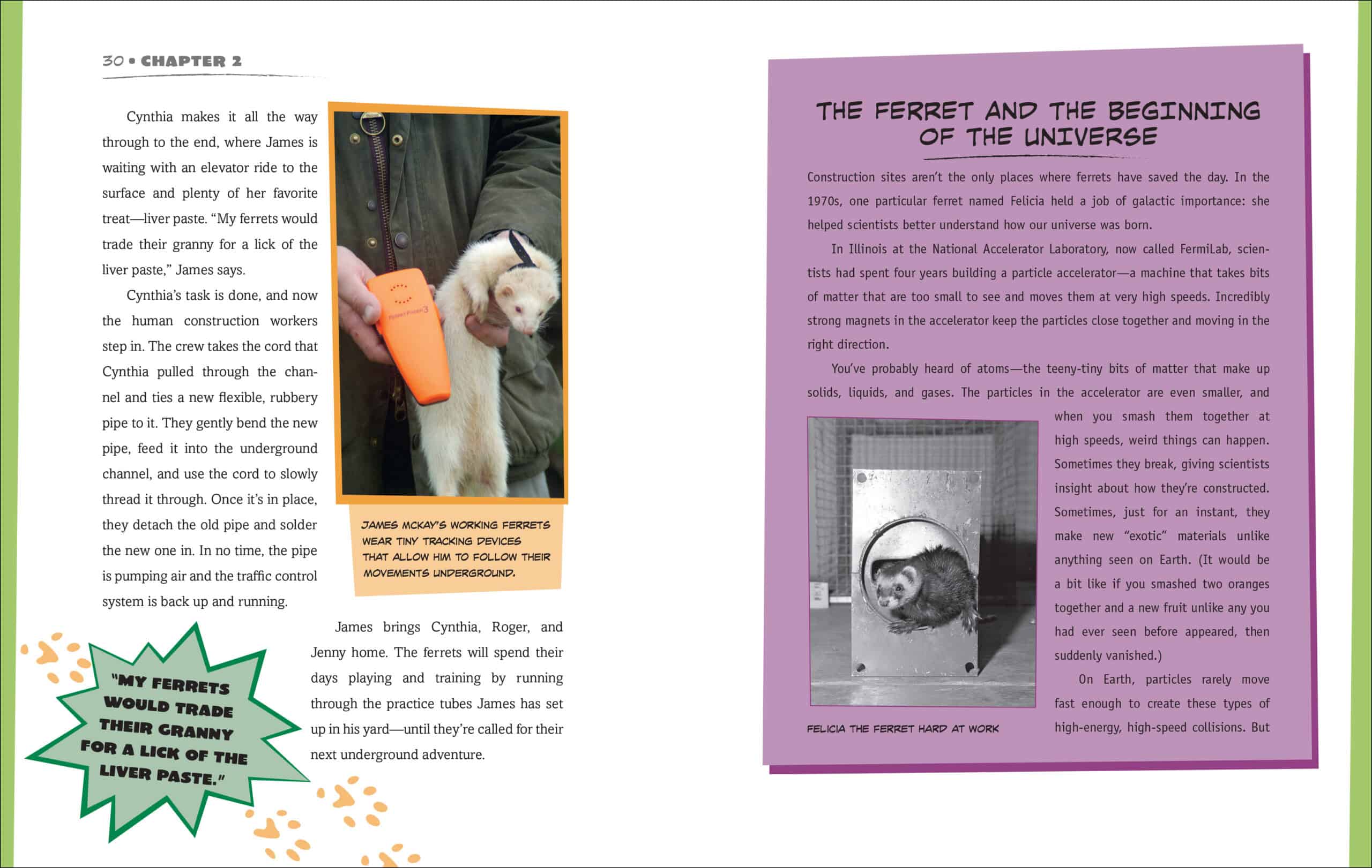 Text spread for DETECTOR DOGS, DYNAMITE DOLPHINS, AND MORE ANIMALS WITH SUPER SENSORY POWERS