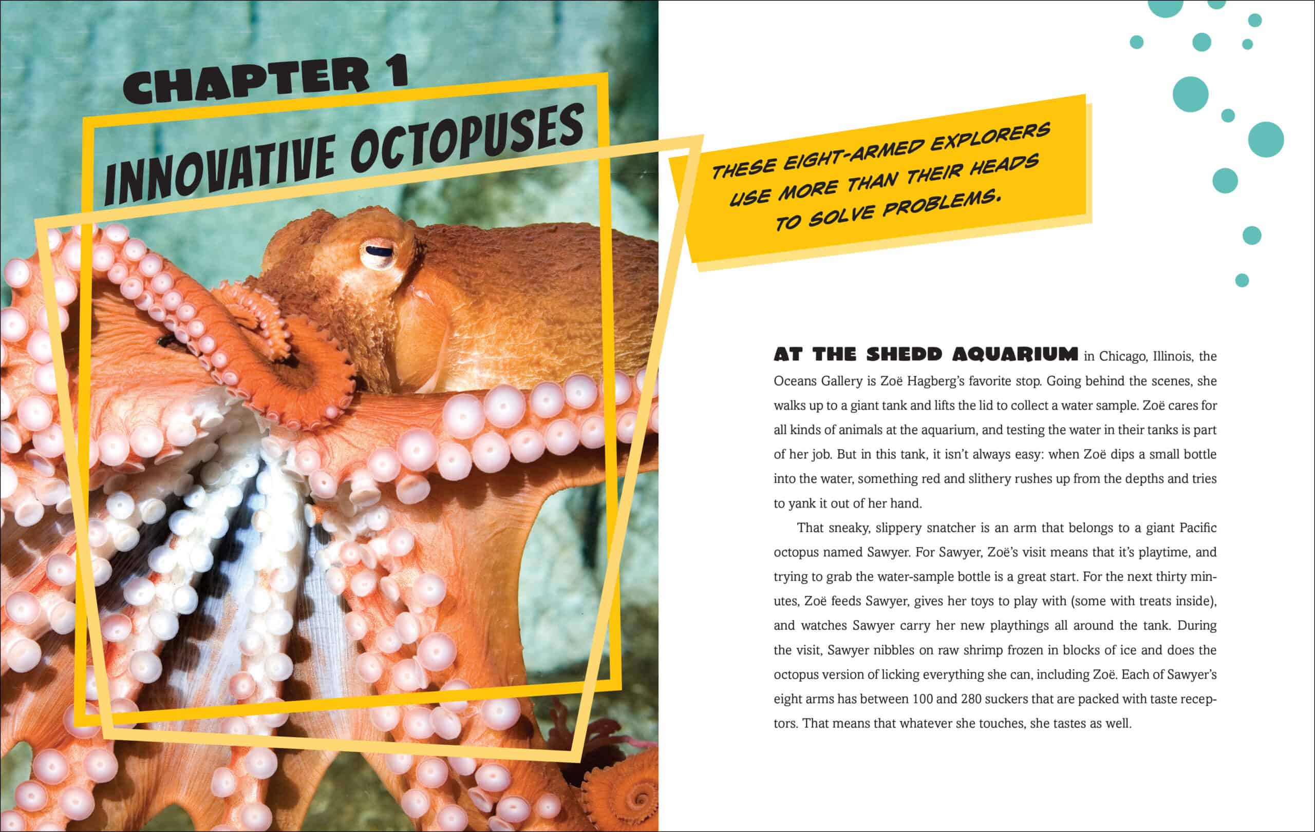 Chapter opener example from INNOVATIVE OCTOPUSES...
